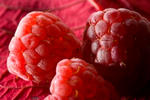 Interest, Macros & Still Life