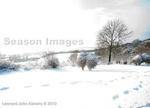 Winter stock