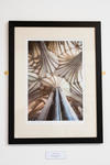 A3 Prints - Medium 43x58cm [17x23 in]  Mounted or framed